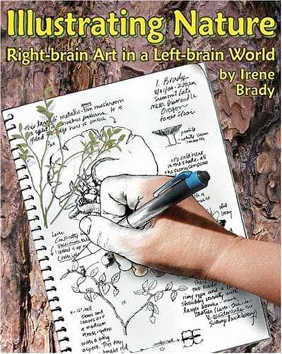 Cover of Illustrating Nature by Irene Brady