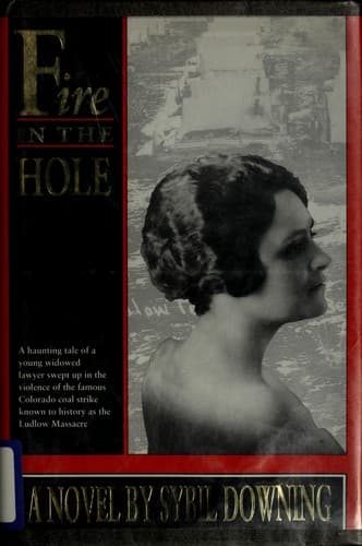 Cover of Fire in the hole by Sybil Downing