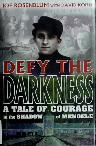 Cover of Defy the darkness by Joe Rosenblum