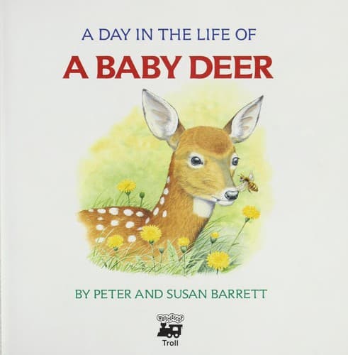 Cover of A day in the life of a baby deer by Barrett, Peter
