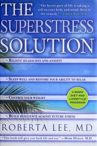 Cover of The superstress solution by Roberta A. Lee