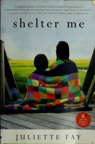 Cover of Shelter me by Juliette Fey