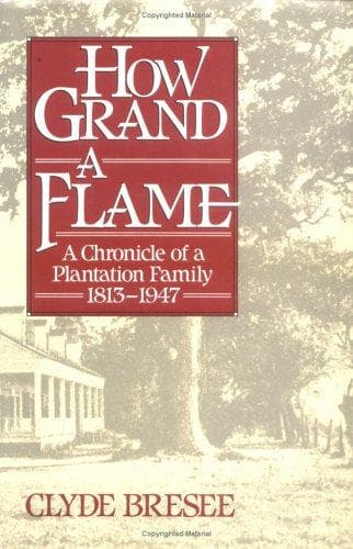 Cover of How grand a flame by Clyde Bresee