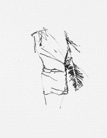 Cover of Brice Marden by Brice Marden