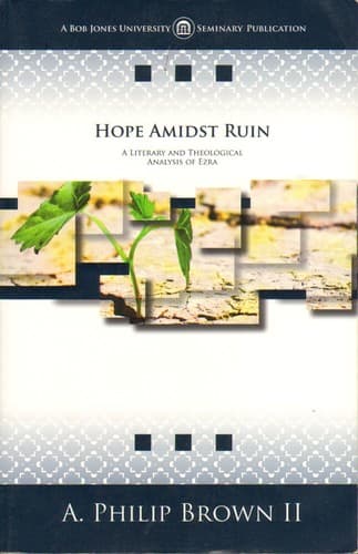 Cover of Hope amidst ruin by A. Philip Brown II