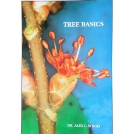 Cover of Tree Basics by Alex L. Shigo