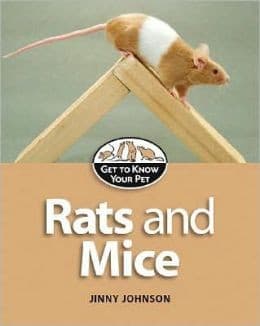 Cover of Rats and mice by Jinny Johnson