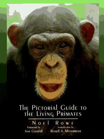 Cover of The pictorial guide to the living primates by Rowe, Noel