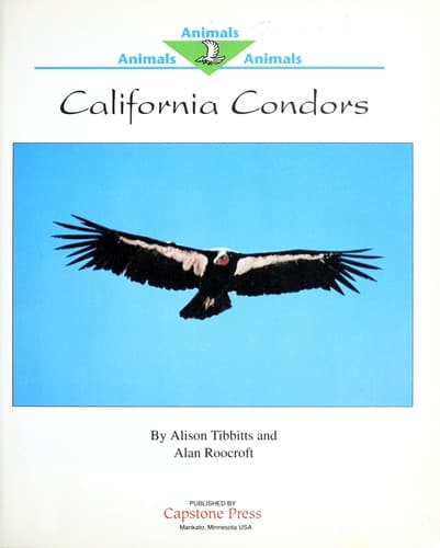 Cover of California condors by Alison Tibbitts