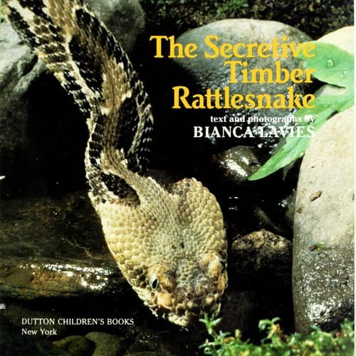 Cover of The secretive timber rattlesnake by Bianca Lavies