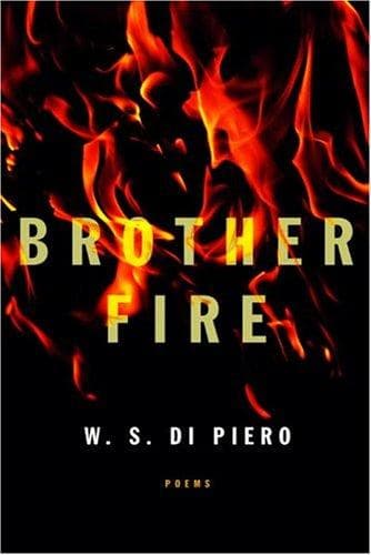 Cover of Brother Fire by W. S. Di Piero