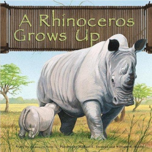Cover of A Rhinoceros Grows Up (Wild Animals) by Anastasia Suen