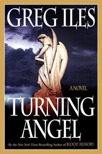 Cover of Turning angel by Greg Iles