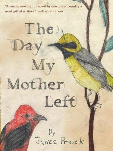 Cover of The day my mother left me by James Prosek