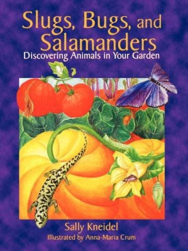 Cover of Slugs, bugs, and salamanders by Sally Stenhouse Kneidel