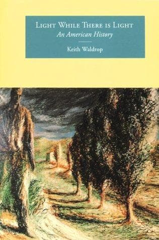 Cover of Light While There Is Light by Keith Waldrop