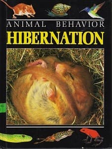 Cover of Hibernation by John Stidworthy