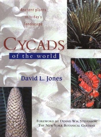 Cover of Cycads of the world by David L. Jones