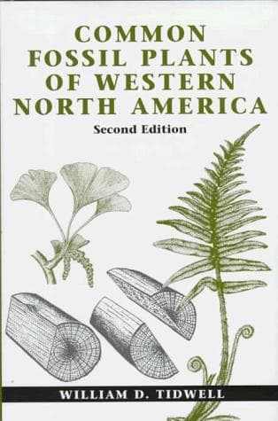 Cover of Common fossil plants of western North America by William D. Tidwell
