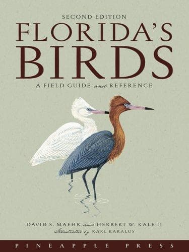 Cover of Florida's Birds by David S. Maehr