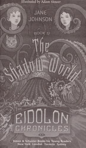 Cover of The shadow world by Jane Johnson