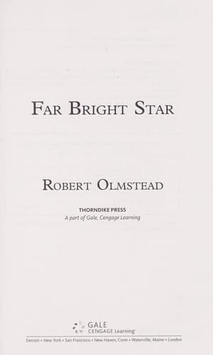 Cover of Far bright star by Robert Olmstead