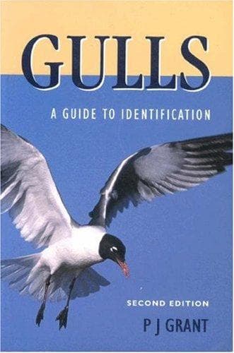 Cover of Gulls by Peter J. Grant