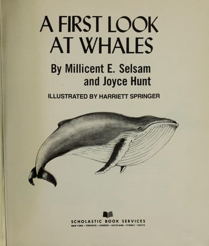 Cover of A first look at whales by Millicent E. Selsam