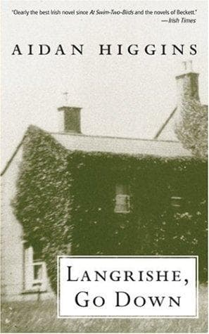 Cover of Langrishe, go down by Aidan Higgins