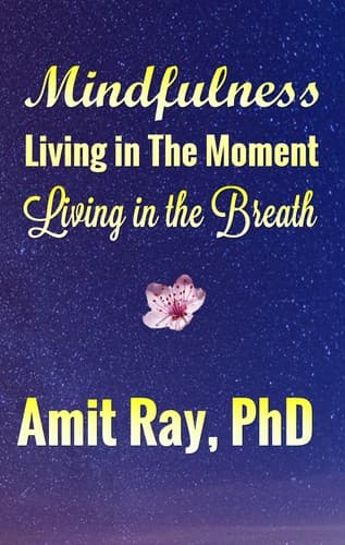 Cover of Mindfulness Living in the Moment - Living in the Breath by Amit Ray