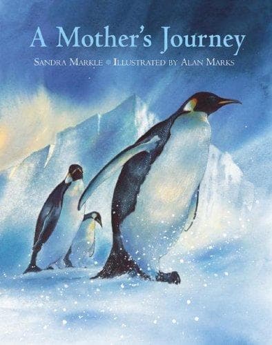 Cover of A Mother's Journey by Sandra Markle