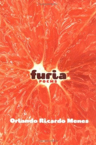Cover of Furia by Orlando Ricardo Menes