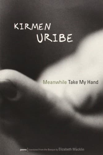 Cover of Meanwhile Take My Hand by Kirmen Uribe
