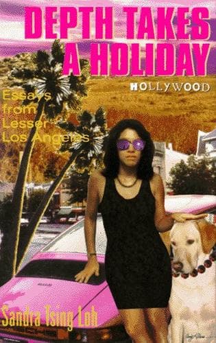 Cover of Depth Takes a Holiday by Sandra Tsing Loh