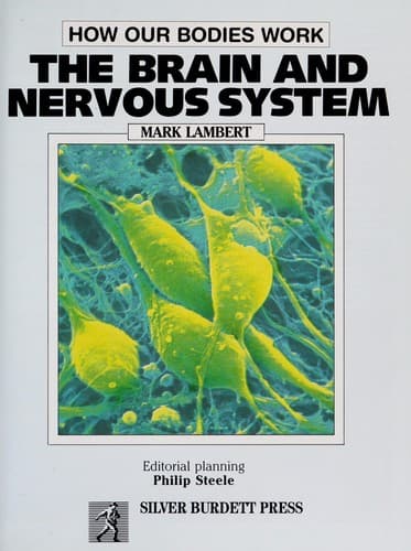 Cover of The brain and nervous system by Lambert, Mark
