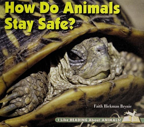 Cover of How do animals stay safe? by Faith Hickman Brynie