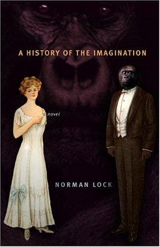 Cover of A History of the Imagination by Norman Lock