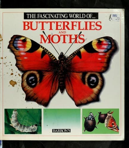 Cover of The fascinating world of butterflies and moths by Angels Julivert