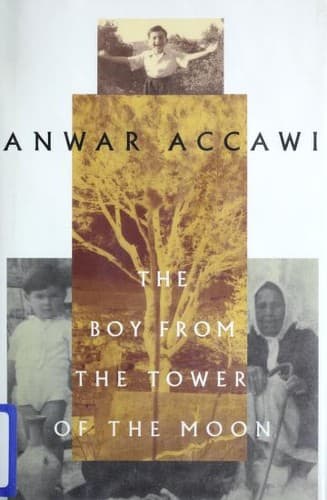 Cover of The boy from the Tower of the Moon by Anwar F. Accawi