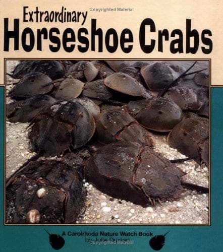 Cover of Extraordinary horseshoe crabs by Julie Dunlap