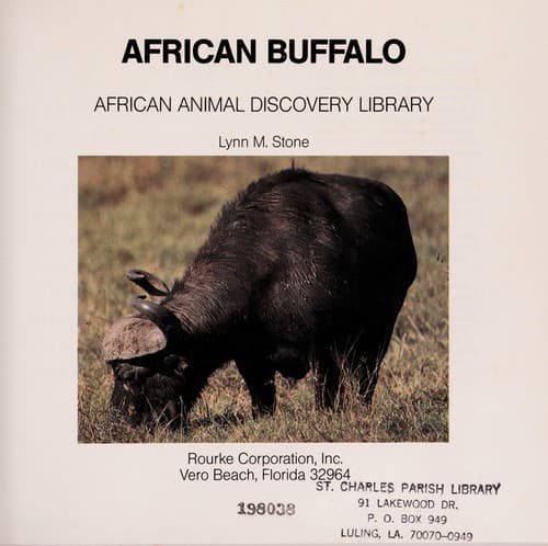 Cover of African buffalo by Lynn M. Stone