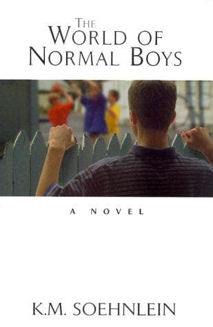 Cover of The world of normal boys by K. M. Soehnlein