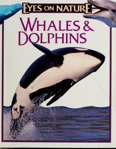 Cover of Whales & dolphins by Anton Ericson