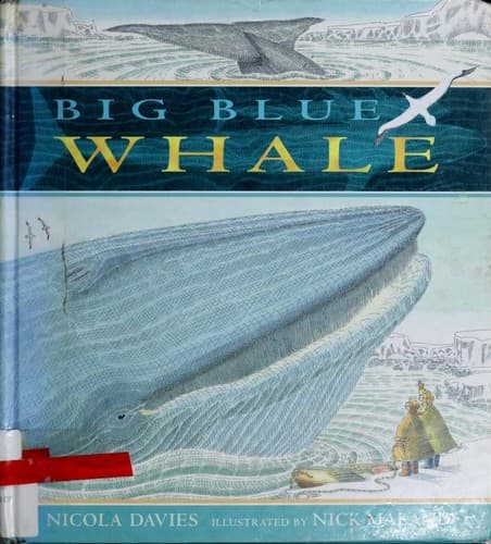 Cover of Big blue whale by Nicola Davies