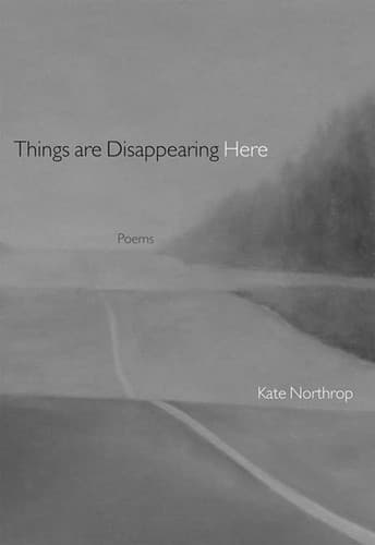Cover of Things Are Disappearing Here by Kate Northrop