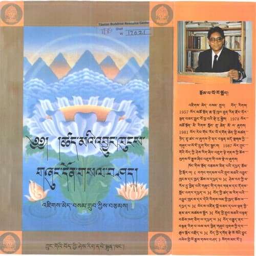Cover of Tshad ma rig paʼi gźuṅ lugs kyi ʼbyuṅ khuṅs daṅ deʼi gźuṅ don bcas gsal bar bśad pa rig paʼi rgya mtsho by ʼJigs-med-bsam-grub