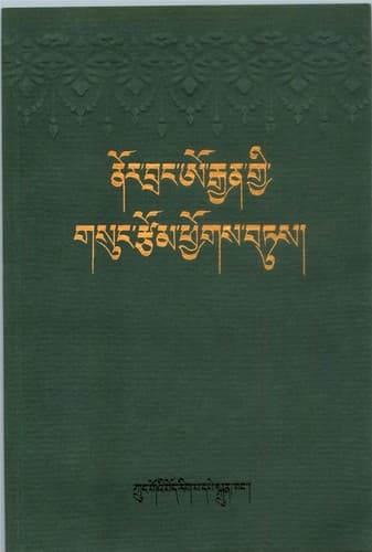 Cover of Nor-braṅ O-rgyan gyi gsuṅ rtsom phyogs btus by Nor-braṅ O-rgyan