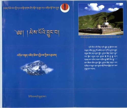 Cover of Mes poʼi byuṅ ba by Bstan-ʼdzin-chos-dbyiṅs ʼGom