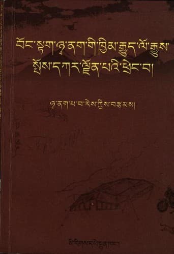 Cover of Boṅ-stag Ñā-nag gi khyim rgyud lo rgyus spos dkar ljon pa'i phreṅ ba by Ba-res Ñwa-nag-pa