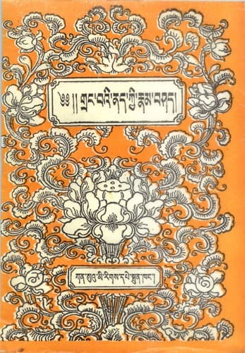 Cover of ʼTsho byed las daṅ po ba la ñe bar mkho baʼi zin tig gces par bsdus paʼi kha skoṅ yaṅ tig sman gyi sbyor sde ʼchi med bdud rtsiʼi bcud len by Karma-rgyal-mtshan